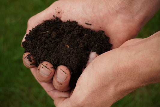 Microbe rich compost